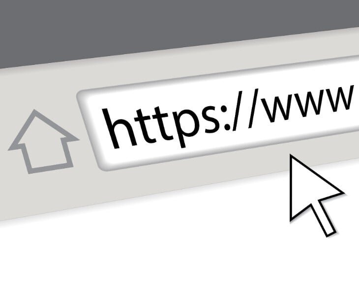 Image of a website pasted into a browser. 