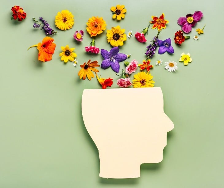 Image of a head with flowers coming out of it. 