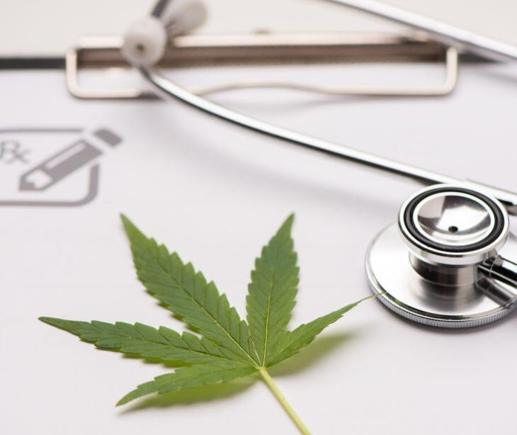 marijuana plant with stethoscope