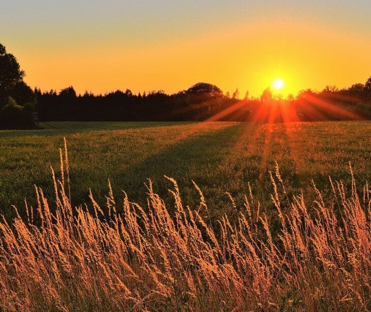 Image of field during sunset.