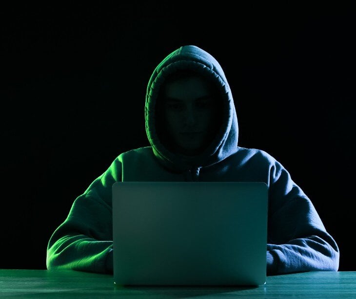 Image of person in a hoody at a computer.