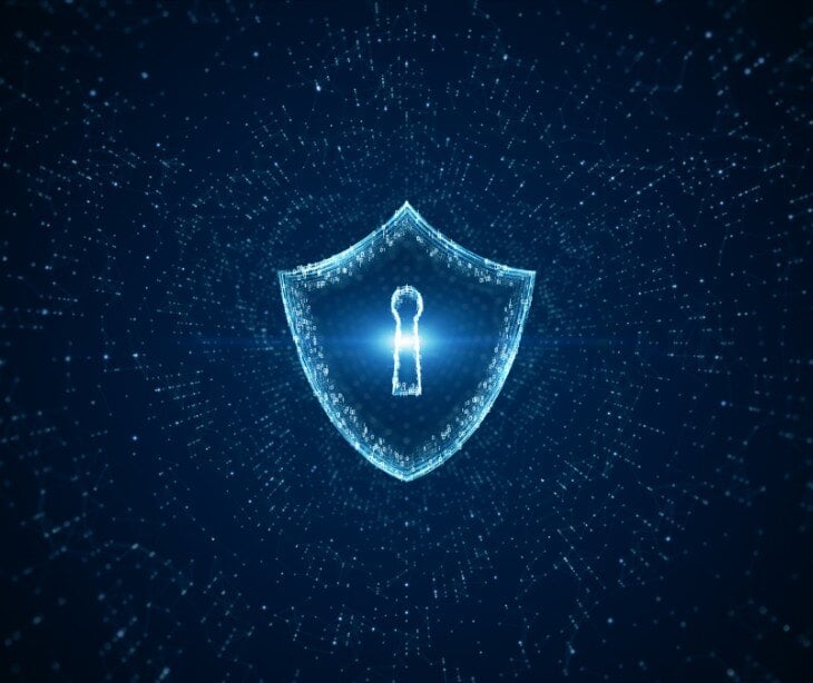 Image of shield for blog about What are robust cybersecurity practices?