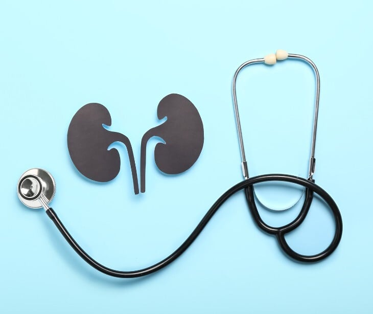 Image of kidney and stethescope. 
