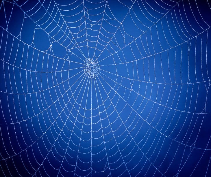 Image of a web with a dark blue background.