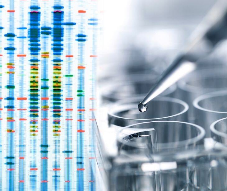 gene strain and lab equipment