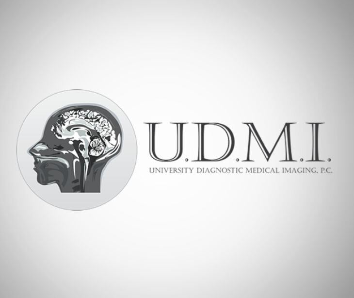 UDMI logo