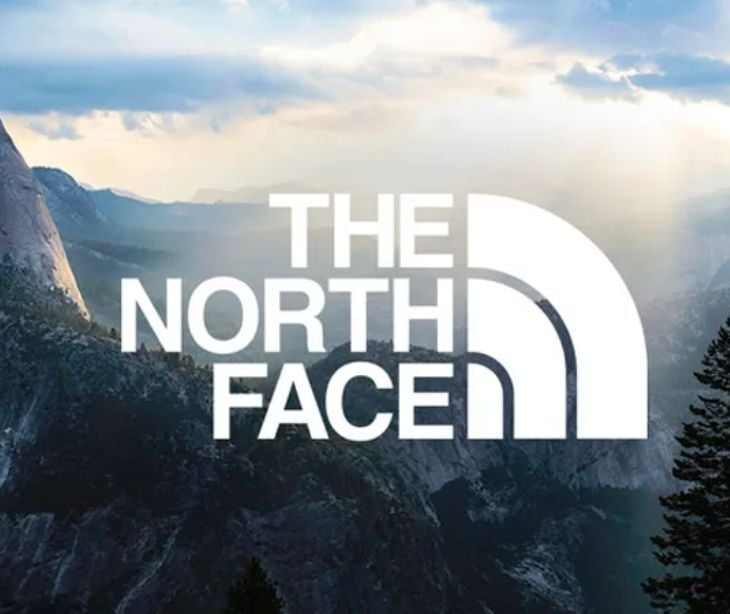 the north face logo