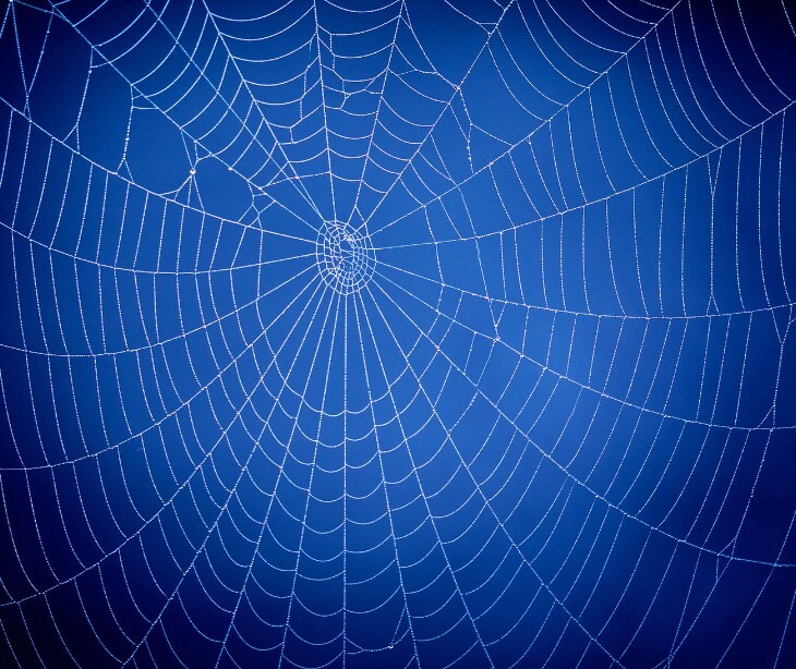 Scattered Spider evolves tactics in 2025, heightening risks